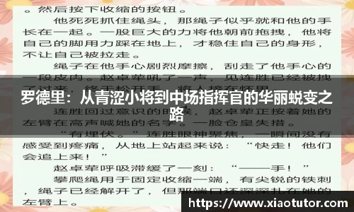 罗德里：从青涩小将到中场指挥官的华丽蜕变之路